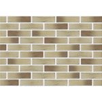 Кирпич лицевой Славянский КЗ Болонья Руст