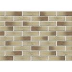 Кирпич лицевой Славянский КЗ Болонья Руст