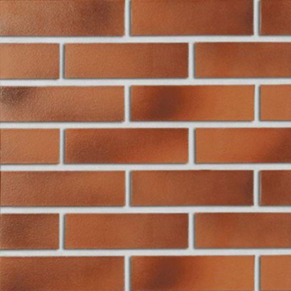 Кирпич клинкерный Roben (Польша),’брусок” Darwin гладкий, NF SP