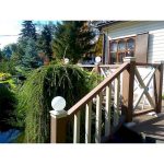 Столб Sequoia Evolution 3D WOOD 120х120х3000 WHITE